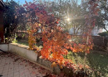 Giardino - Casa semi indipendente Formia - foto 6