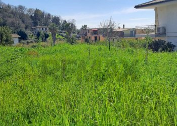 Giardino - Villa Minturno - foto 13