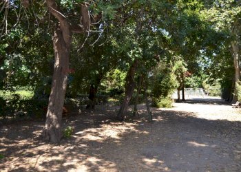 Giardino - Trilocale Orbetello - foto 17