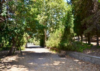 Giardino - Trilocale Orbetello - foto 20