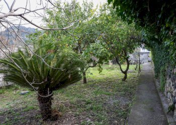 Giardino - Villa corso vittorio emanuele
 
8, Casamicciola Terme - photo 31