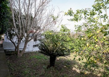 Giardino - Villa corso vittorio emanuele
 
8, Casamicciola Terme - photo 33