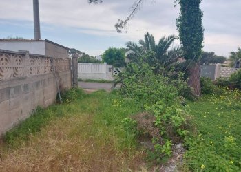 Terreno - Terreno agricolo viale dei Fornai, Pulsano - foto 3