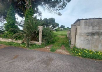 Terreno - Terreno agricolo viale dei Fornai, Pulsano - foto 6
