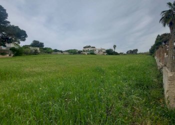 Terreno - Terreno agricolo viale dei Fornai, Pulsano - foto 8