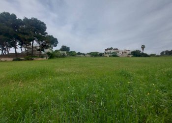 Terreno - Terreno agricolo viale dei Fornai, Pulsano - foto 9