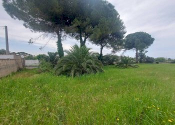 Terreno - Terreno agricolo viale dei Fornai, Pulsano - foto 12