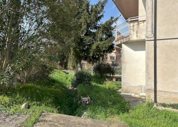 Giardino - Casa indipendente Corso 25 Archi
 
41, Montaquila - foto 87