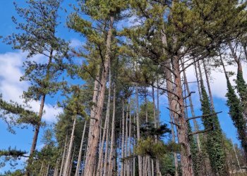 Non correlato - Rustico Campo di Giove - foto 16
