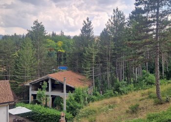 Giardino - Rustico Campo di Giove - foto 18