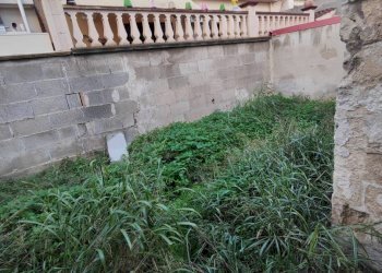 Giardino - Trilocale Pulsano - foto 7