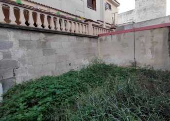 Giardino - Trilocale Pulsano - foto 9