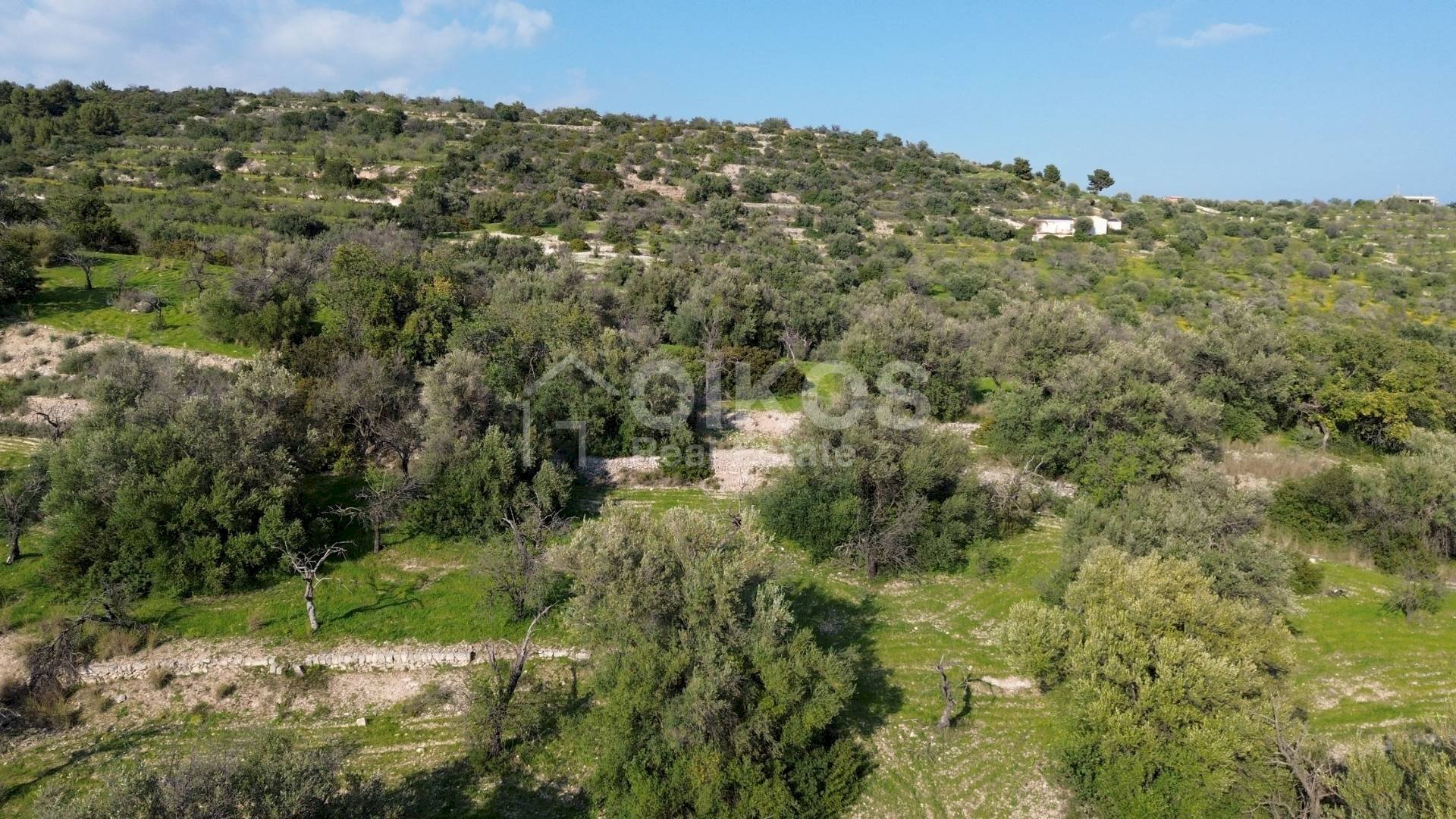 Foto 3 - Terreno agricolo cda zisola, Noto - foto 3