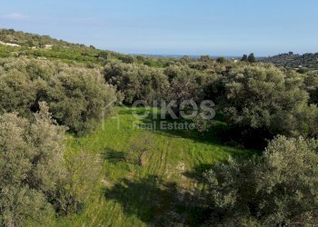 Foto 1 - Terreno agricolo cda zisola, Noto - foto 1