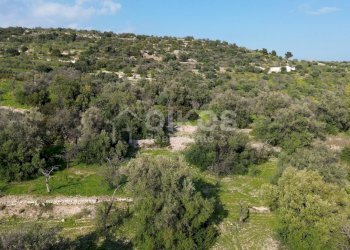 Foto 3 - Terreno agricolo cda zisola, Noto - foto 3