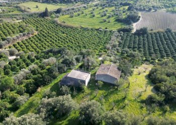 Foto 5 - Terreno agricolo cda zisola, Noto - foto 5