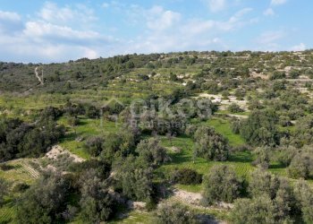 Foto 7 - Terreno agricolo cda zisola, Noto - foto 7