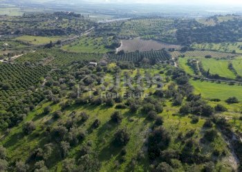 Foto 9 - Terreno agricolo cda zisola, Noto - foto 9