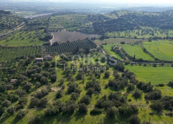 Foto 10 - Terreno agricolo cda zisola, Noto - foto 10