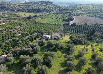 Foto 11 - Terreno agricolo cda zisola, Noto - foto 11
