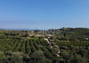 Foto 12 - Terreno agricolo cda zisola, Noto - foto 12