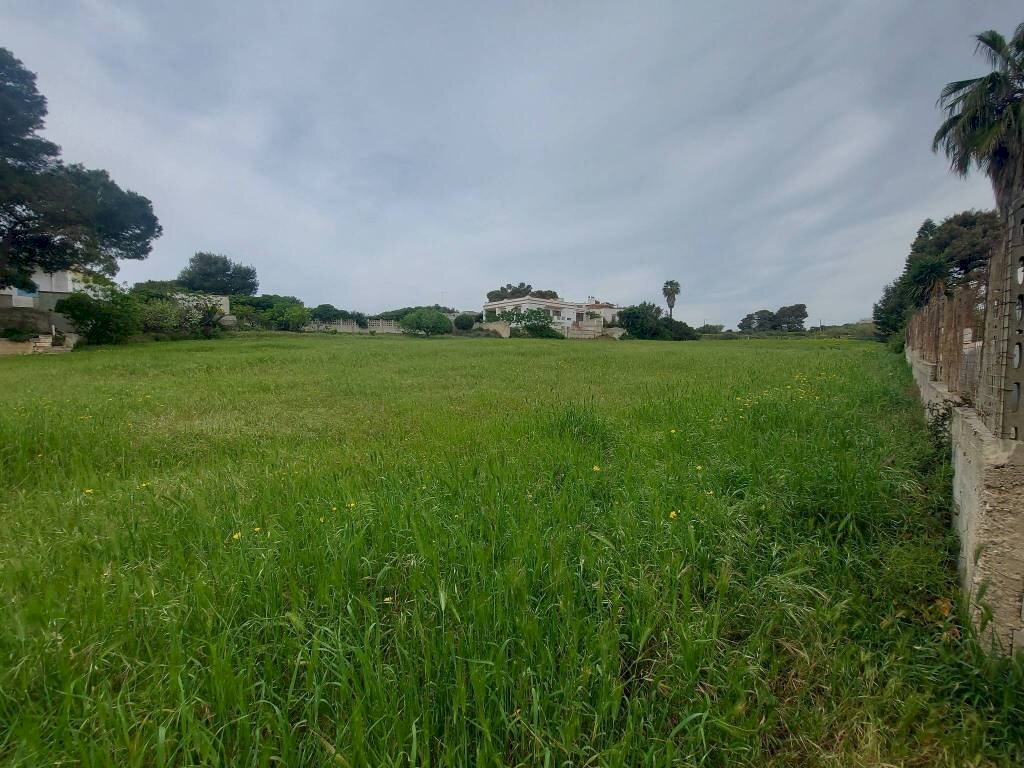 Terreno - Terreno agricolo viale dei Fornai, 8, Pulsano - foto 1