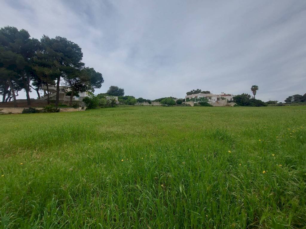 Terreno - Terreno agricolo viale dei Fornai, 8, Pulsano - foto 2