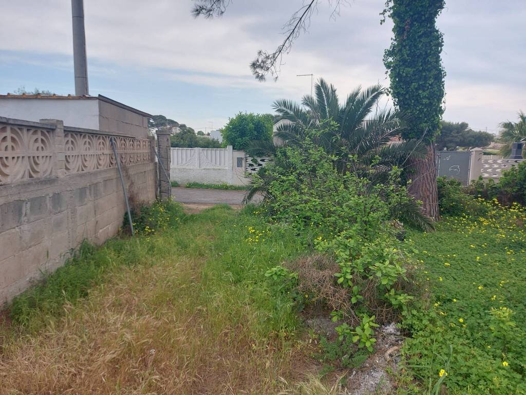 Terreno - Terreno agricolo viale dei Fornai, 8, Pulsano - foto 3