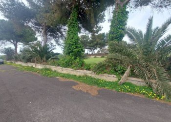 Terreno - Terreno agricolo viale dei Fornai, 8, Pulsano - foto 7