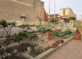 Giardino - Villa Statte - foto 24