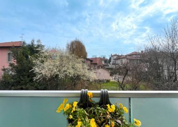 Balcone - Trilocale via Quintino di Vona
 
33, Cassano d'Adda - foto 17