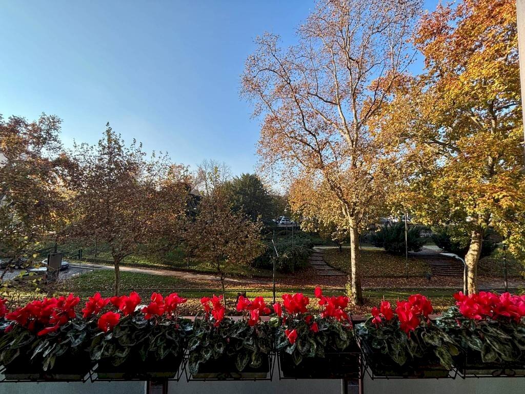 Balcone - Ufficio viale Vittorio Veneto, Milano - foto 3