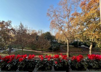 Balcone - Ufficio viale Vittorio Veneto, Milano - foto 3