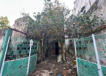 Foto 4 - Rustico via vastola, Poggiomarino - foto 4