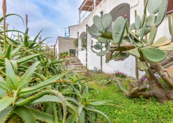 Foto 21 - Three-room apartment Via Grimaldo Martini, Marciana - photo 21