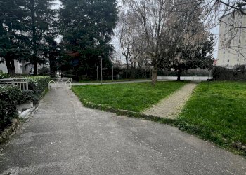 Giardino - Trilocale Milano - foto 20