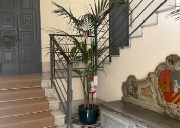 Ingresso - Appartamento via dell'Annunciata, Milano - foto 4