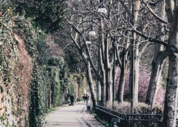 Zona - Quadrilocale via Giovanni Francesco Napione, 6, Torino (zona Vanchiglia) - foto 13