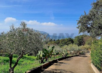 Vista delle montagne - Villa contrada pedale
 
s/n, Collesano - photo 46
