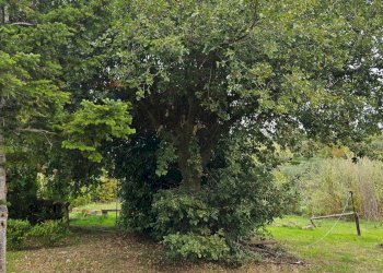 Giardino - Villa ss 643, Polizzi Generosa - photo 27