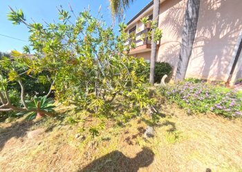 Giardino - Villa via Salvatore Vitale, Trappeto - photo 17