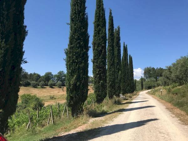 Foto 1 - Villa Siena - foto 1