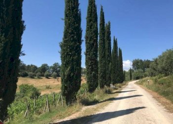 Foto 1 - Villa Siena - foto 1