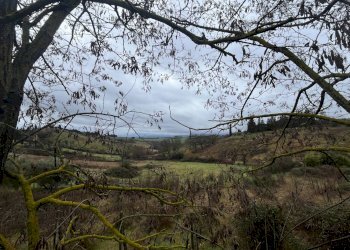 Foto 8 - Villa Siena - foto 8