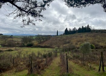 Foto 27 - Villa Siena - foto 27