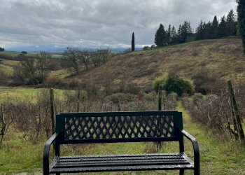 Foto 29 - Villa Siena - foto 29