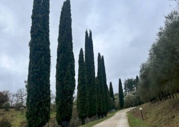 Foto 30 - Villa Siena - foto 30