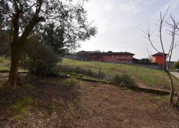 Terreno - Rustico via Verguino, Isola d'Asti - foto 39