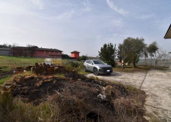 Terreno - Rustico via Verguino, Isola d'Asti - foto 36