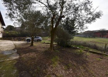 Terreno - Rustico via Verguino, Isola d'Asti - foto 39